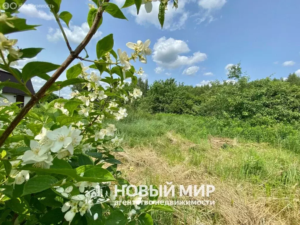 Дом в Бор, СНТ Восход №2 (15 м) - Фото 1