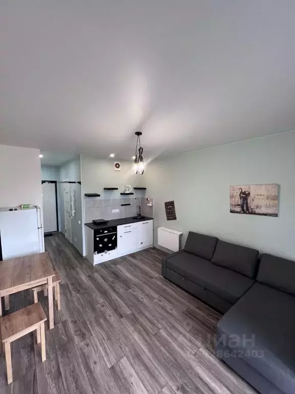 Студия Псковская область, Псковский район, Писковичская волость, д. ... - Фото 1