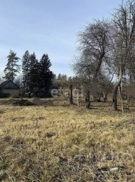 Участок в Брянская область, Брянский район, Добрунское с/пос, д. ... - Фото 1