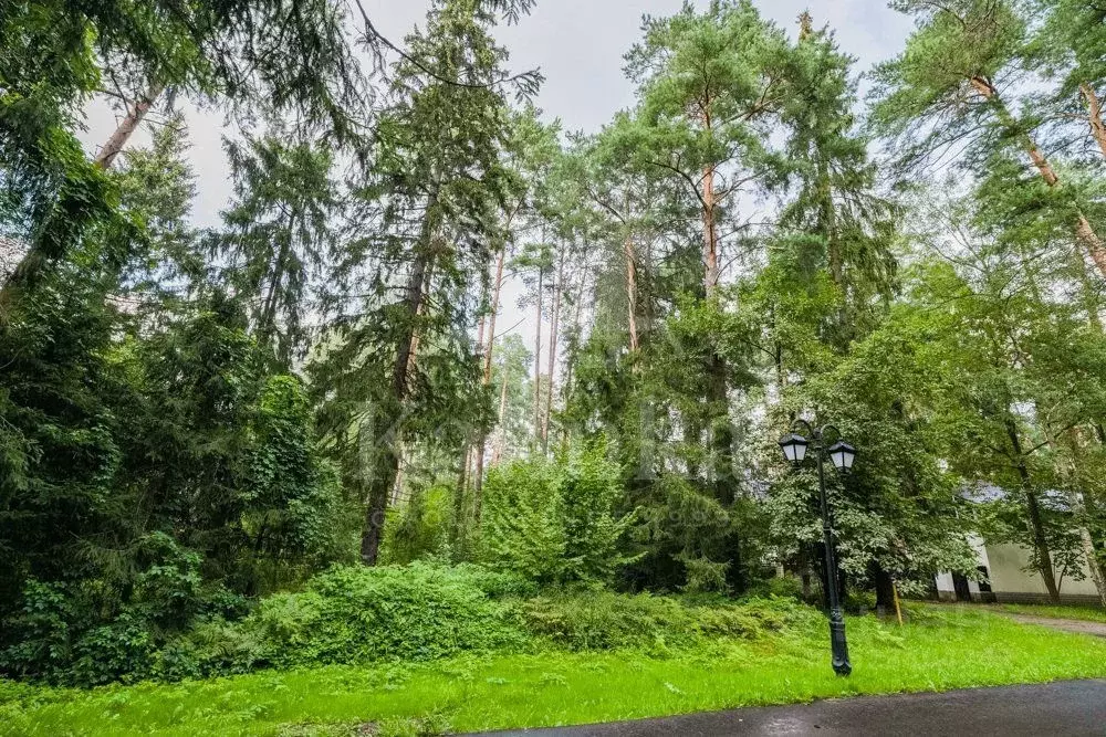 Участок в Московская область, Одинцовский городской округ, д. Дарьино  ... - Фото 2