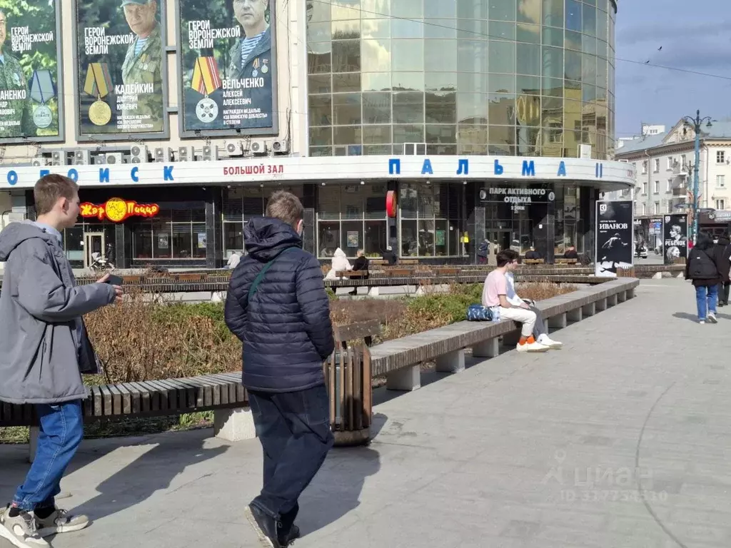 1-к кв. Воронежская область, Воронеж Пушкинская ул., 2 (27.8 м) - Фото 1