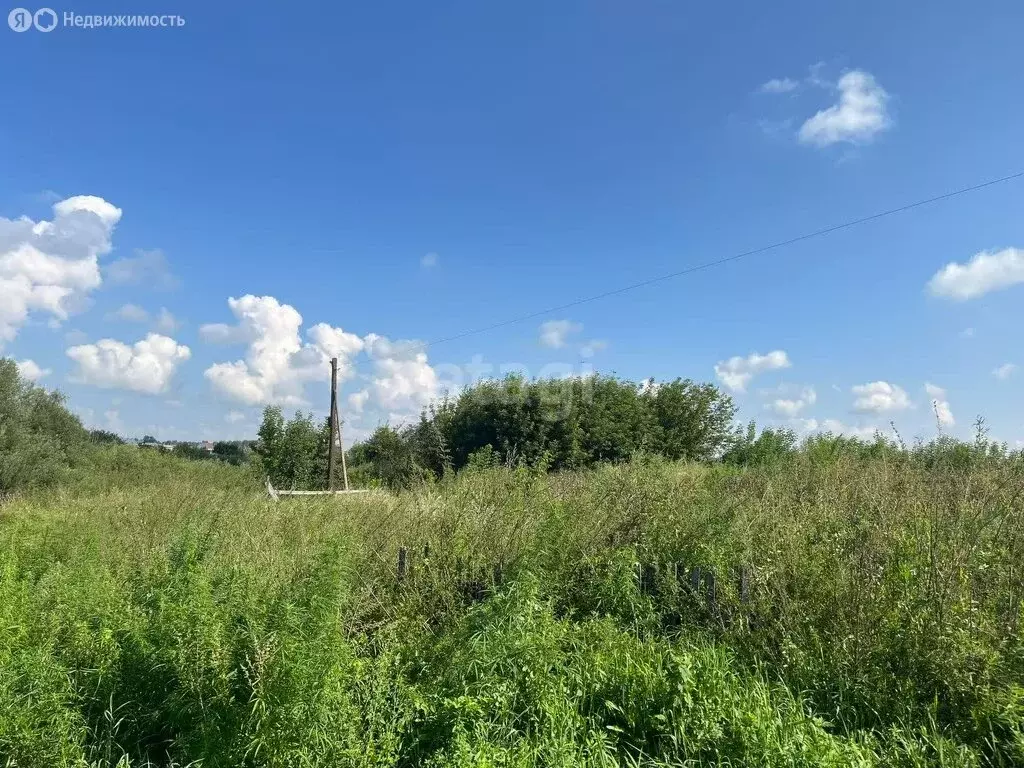 Участок в село Берёзовка, Береговая улица, 3 (15 м) - Фото 0