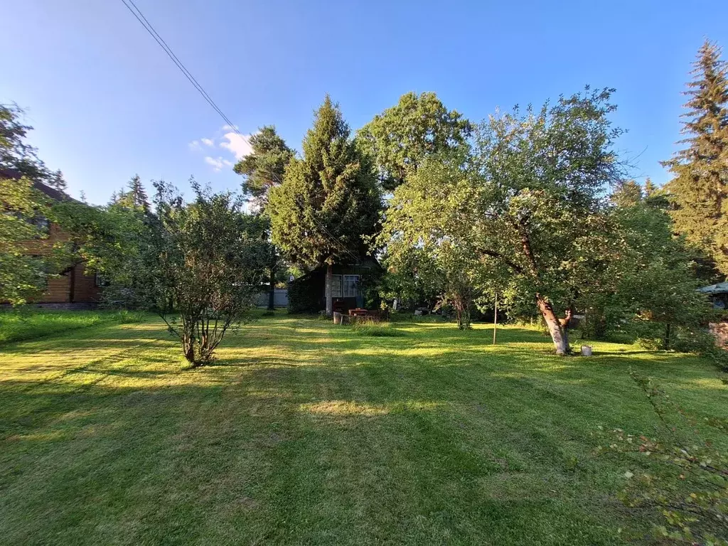 Участок в Московская область, Сергиев Посад Нефтяник садовое ... - Фото 1