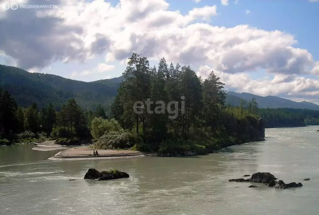 Участок в Алтайский район, село Ая (43.7 м) - Фото 1