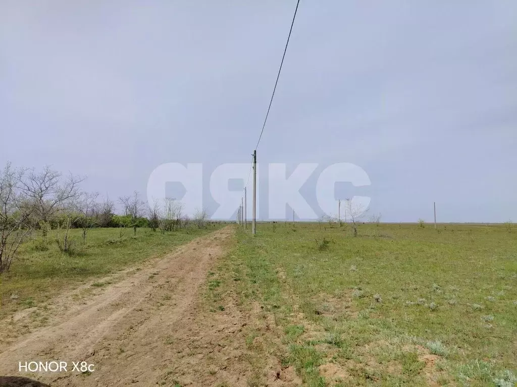 Участок в Волгоградская область, Городищенский район, Царицынское ... - Фото 1