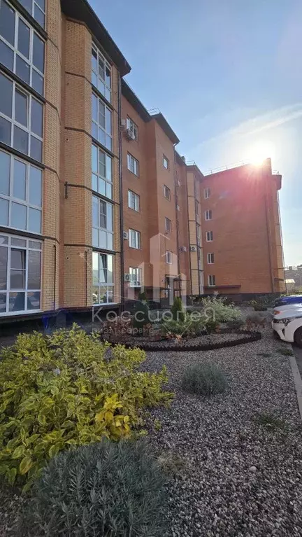 1-к кв. Ставропольский край, Минеральные Воды Юбилейная ул., 9 (60.0 ... - Фото 1