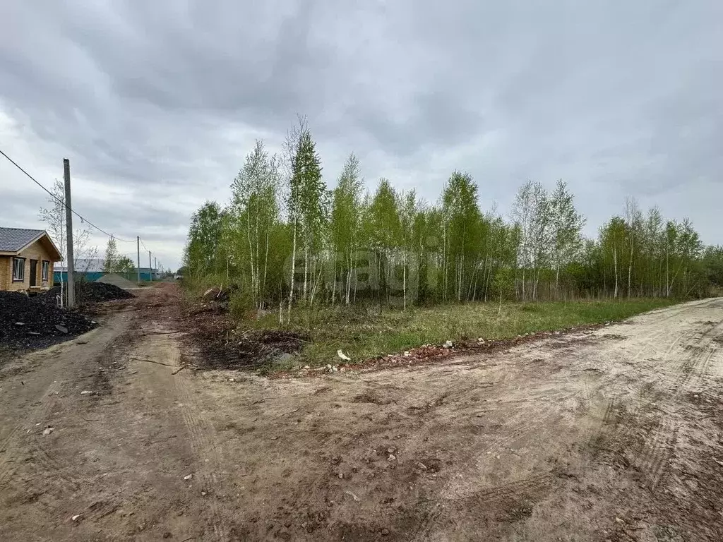 Участок в Тюменская область, Нижнетавдинский муниципальный округ, ... - Фото 1