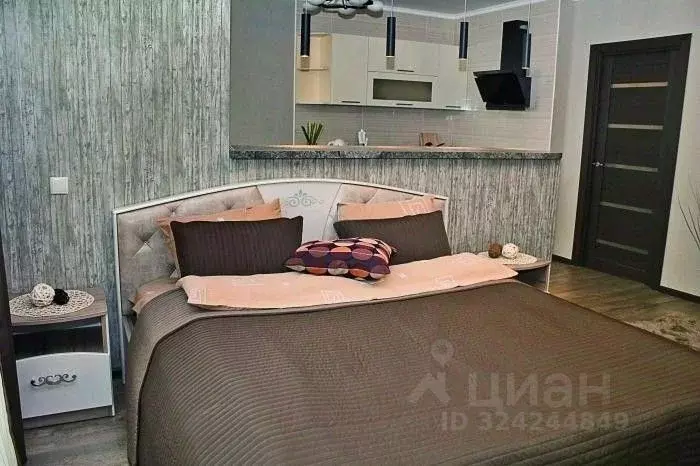 1-к кв. Ростовская область, Ростов-на-Дону Халтуринский пер., 206В/106 ... - Фото 1