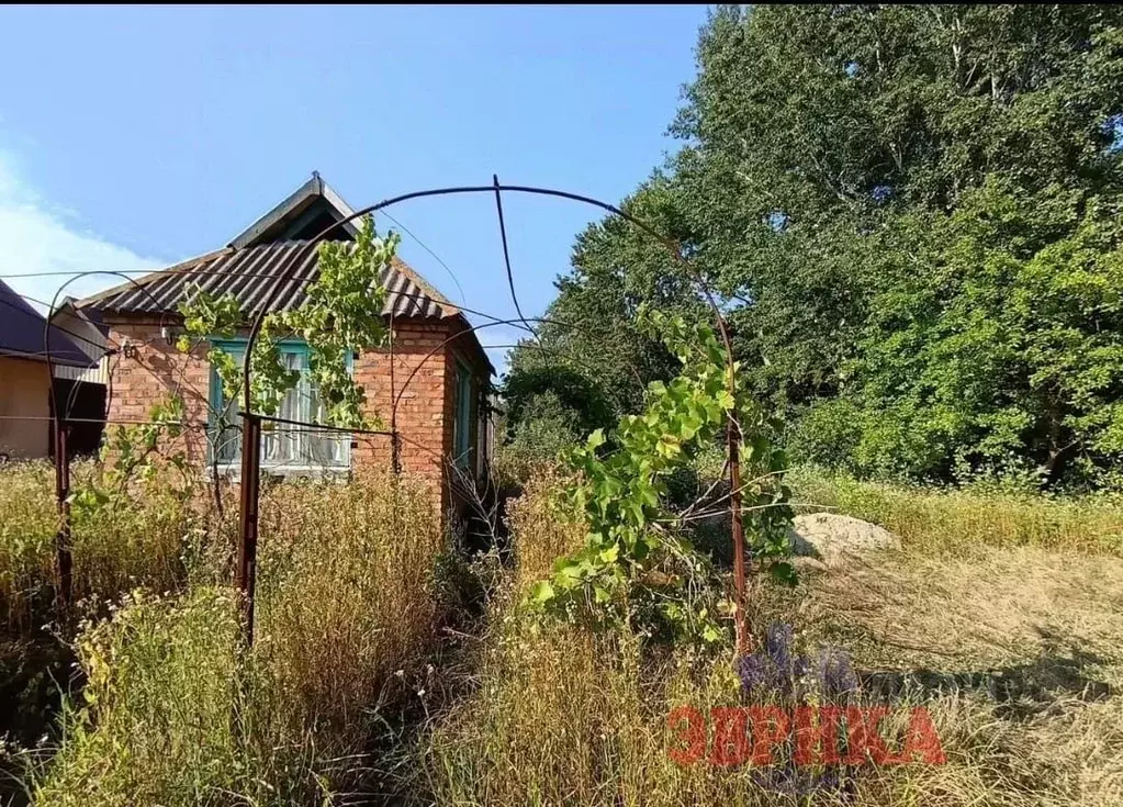 Участок в Краснодарский край, Крымский район, Южное с/пос, Южный ... - Фото 2