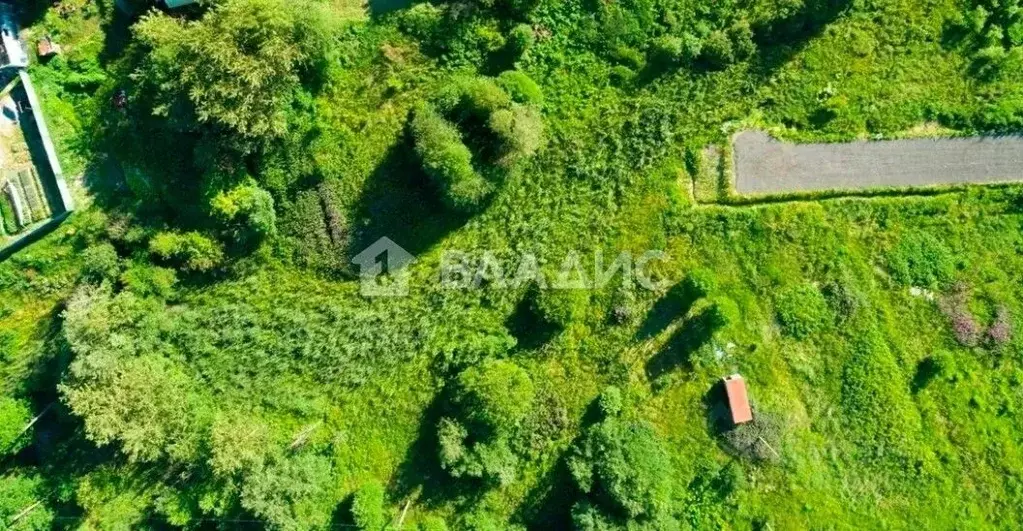 Участок в Ленинградская область, Всеволожский район, Имени Свердлова ... - Фото 1