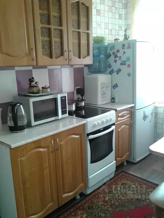 1-к кв. Алтайский край, Барнаул ул. Челюскинцев, 67 (27.4 м) - Фото 2