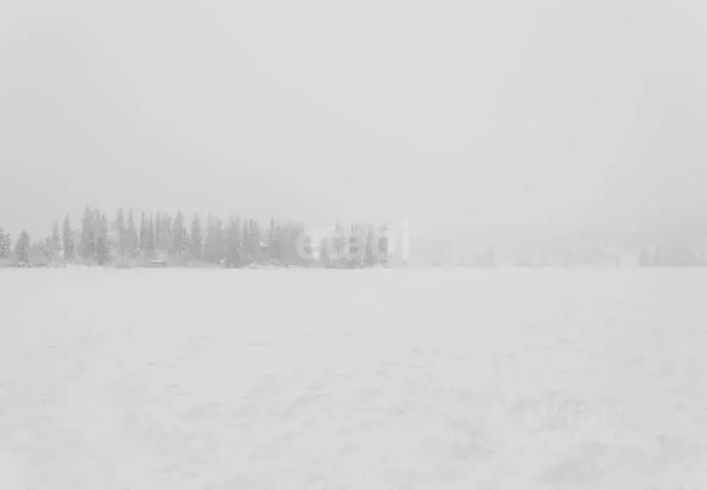 Участок в Свердловская область, Сысертский городской округ, д. ... - Фото 0