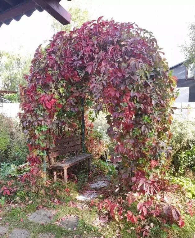 Дом в Московская область, Богородский городской округ, Ясень СНТ 88 ... - Фото 1