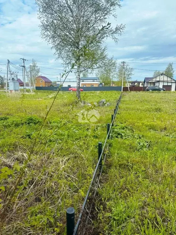 Участок в Новосибирская область, Новосибирский район, Кубовинский ... - Фото 2
