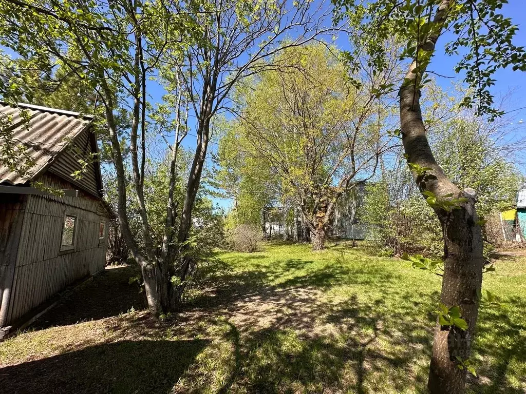 Дом в Алтайский край, Павловский район, с. Стуково Молодежная ул., 11 ... - Фото 2