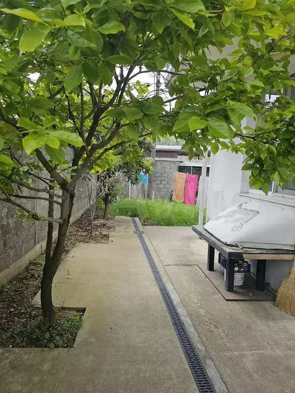 2-к. квартира, 60 м, 1/1 эт. - Фото 0