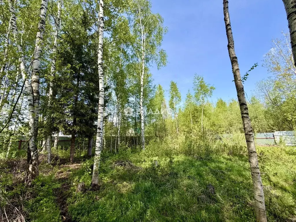 Участок в Московская область, Орехово-Зуевский городской округ, ... - Фото 1