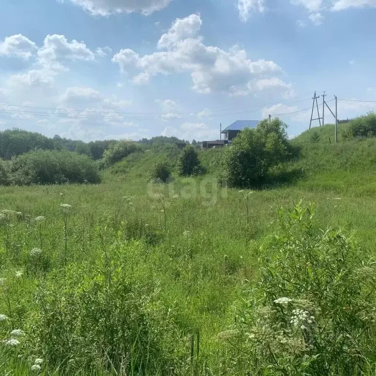 Участок в Кемеровская область, Кемеровский район, д. Солонечная ул. ... - Фото 1