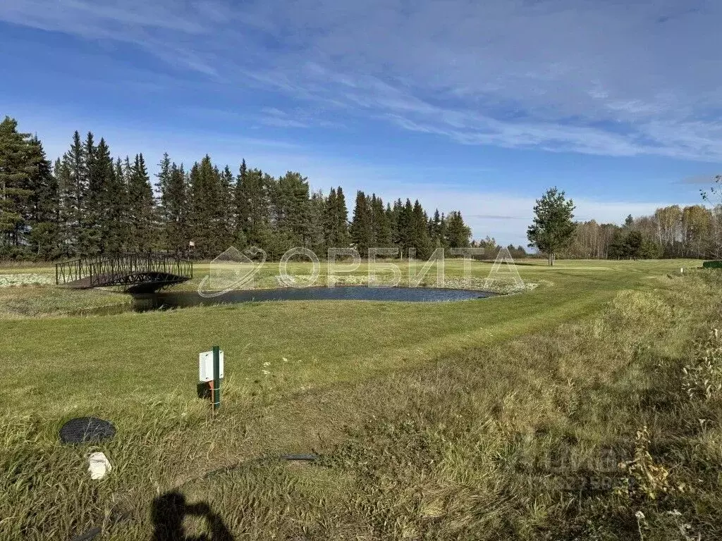 Участок в Тюменская область, Тюменский муниципальный округ, с. ... - Фото 2