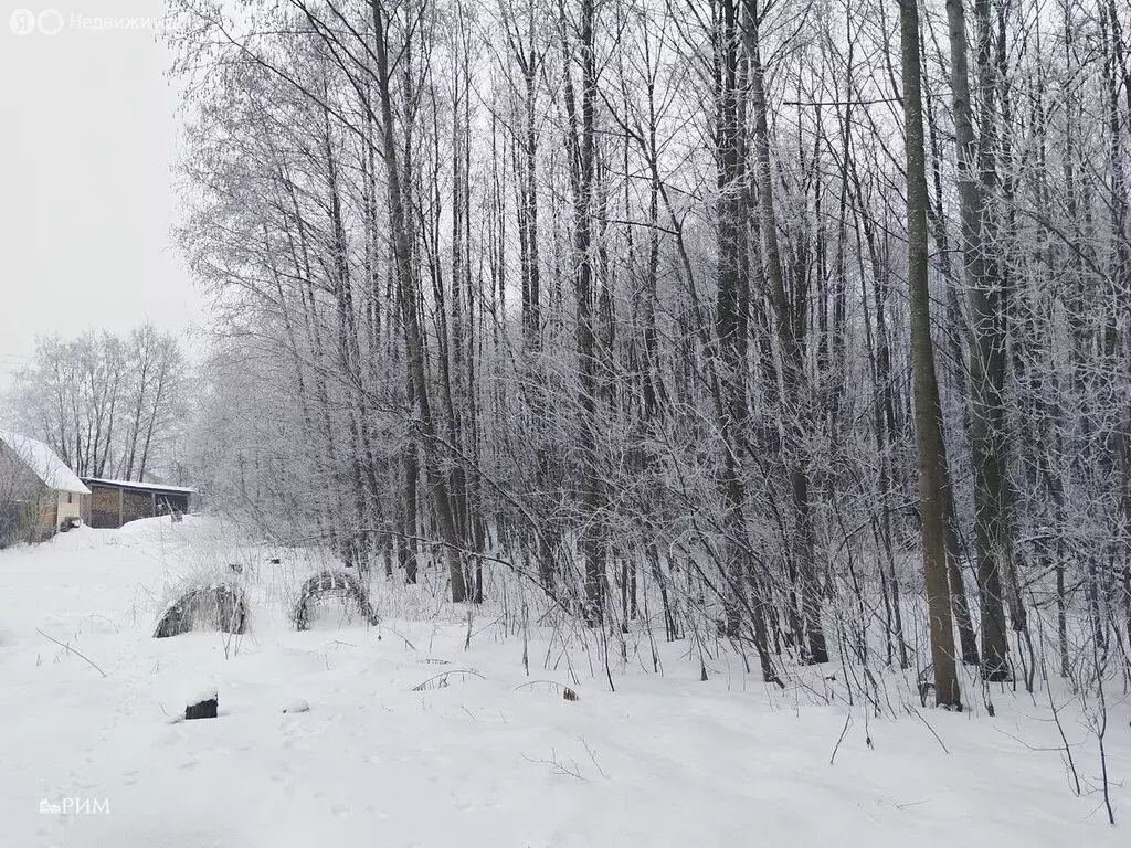 Участок в Череповецкий район, Яргомжское сельское поселение, деревня ... - Фото 0