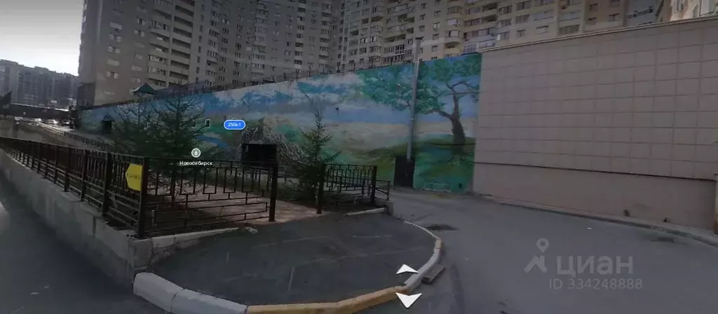 Помещение свободного назначения в Новосибирская область, Новосибирск ... - Фото 1