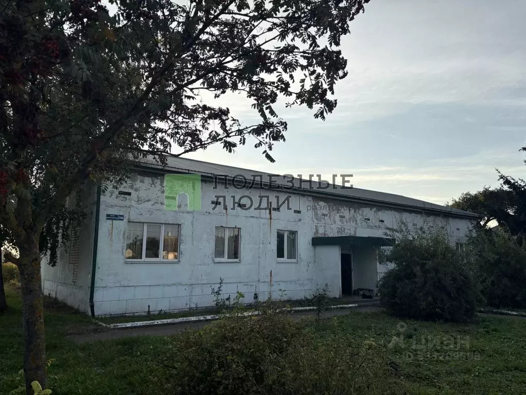 Помещение свободного назначения в Орловская область, Орловский ... - Фото 1
