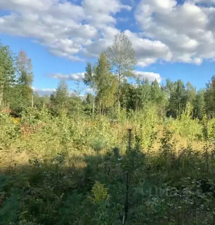 участок в ленинградская область, кировский район, мгинское городское . - Фото 0