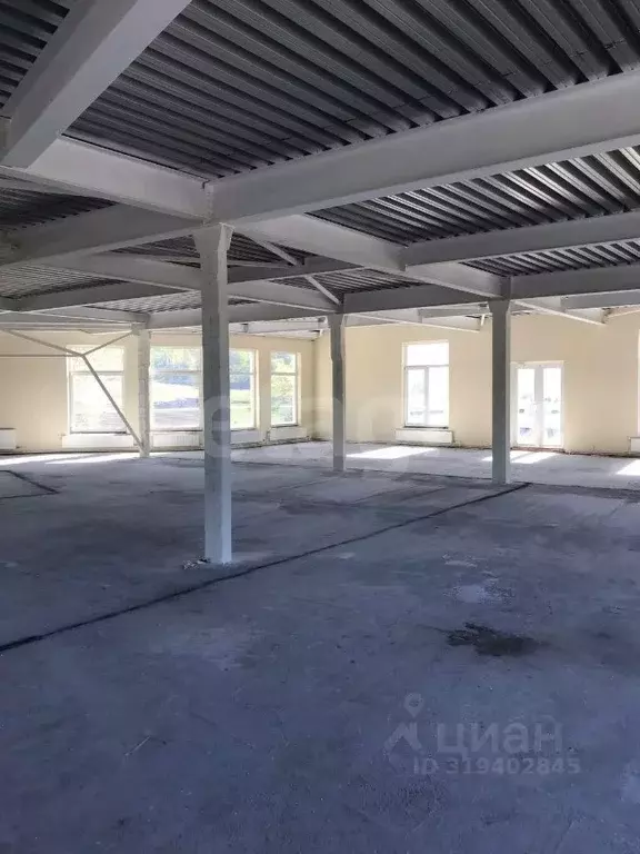 Торговая площадь в Ленинградская область, Выборг ул. Гагарина, 2А ... - Фото 1