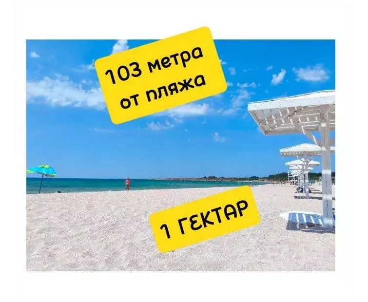 Участок в Крым, Сакский район, Молочненское с/пос, с. Витино  (100.0 ... - Фото 2