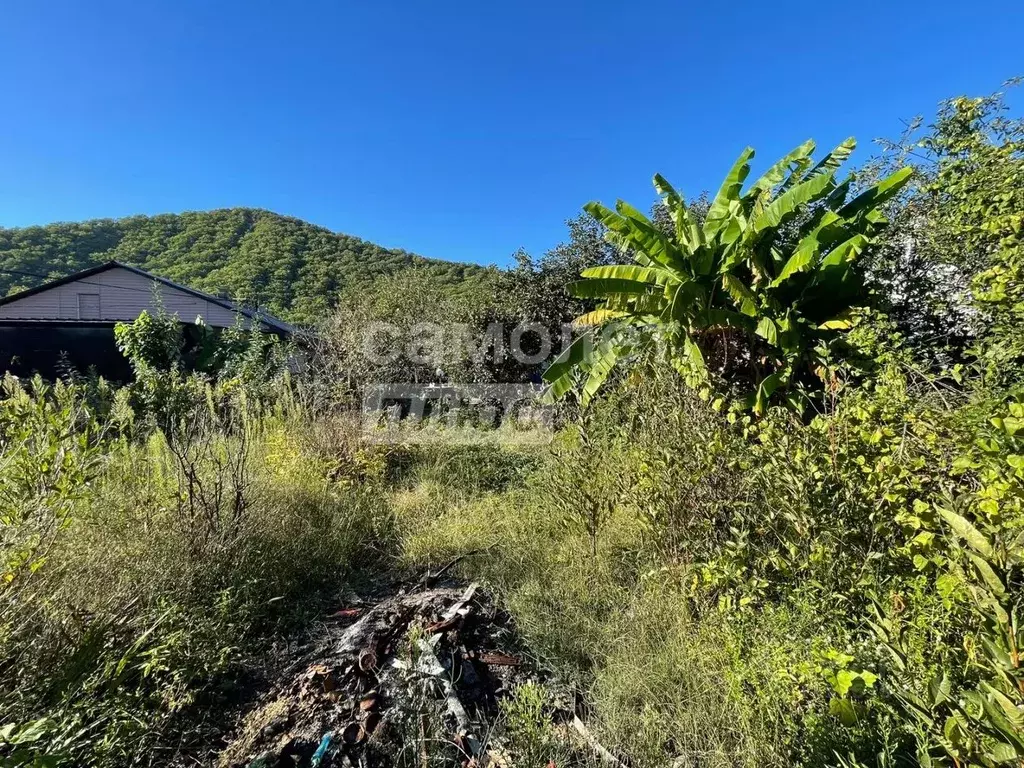 Дом в Краснодарский край, Туапсинский муниципальный округ, ... - Фото 2