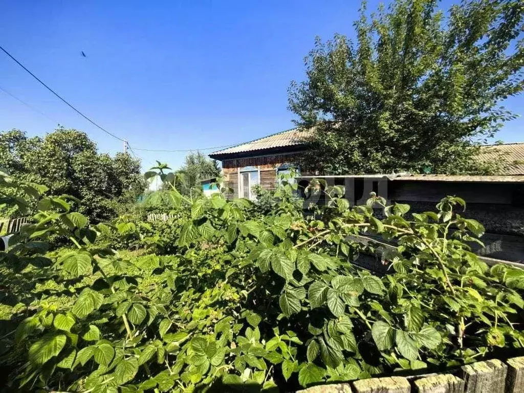 Дом в Хакасия, Усть-Абакан рп ул. Чапаева (60 м) - Фото 0