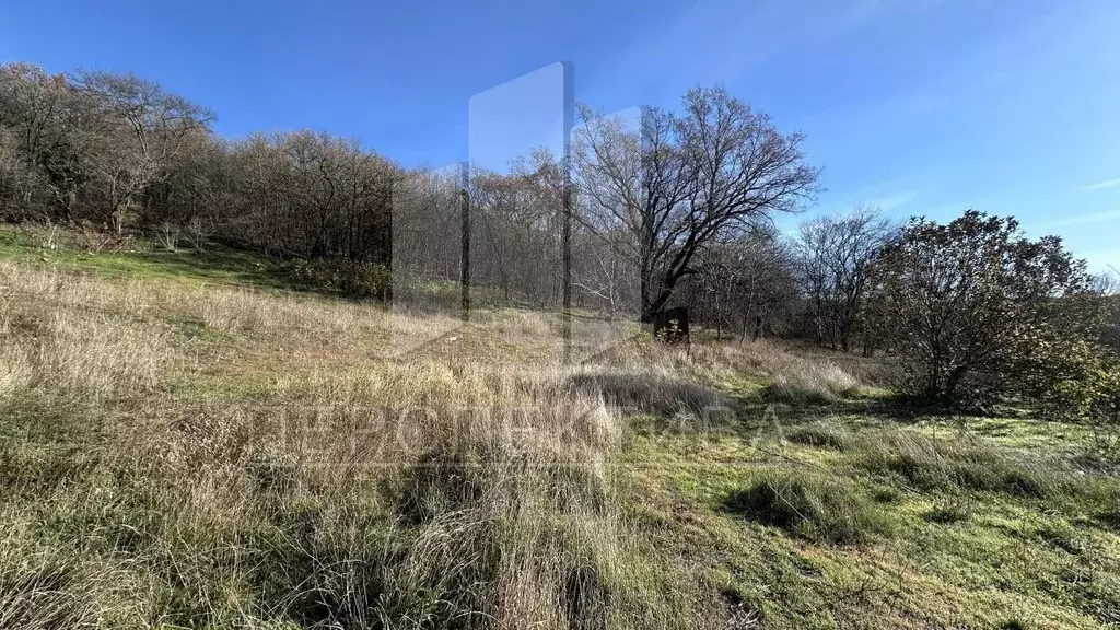 Участок в Краснодарский край, Новороссийск городской округ, ... - Фото 1