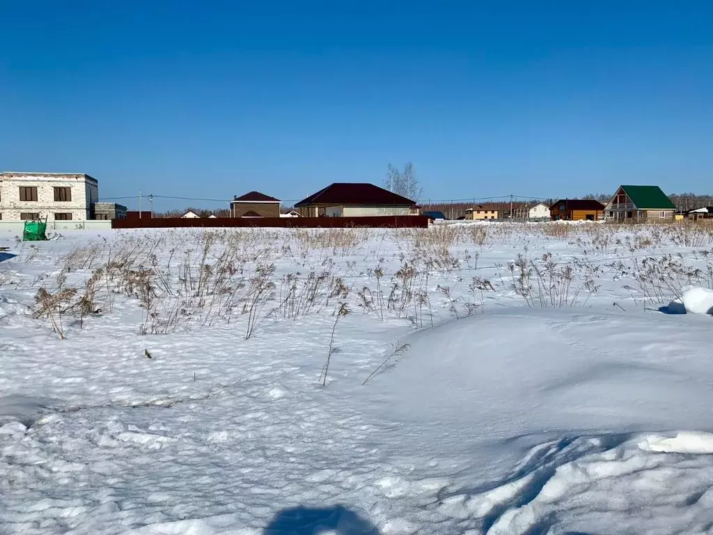 Участок в Нижегородская область, Кстовский муниципальный округ, д. ... - Фото 1