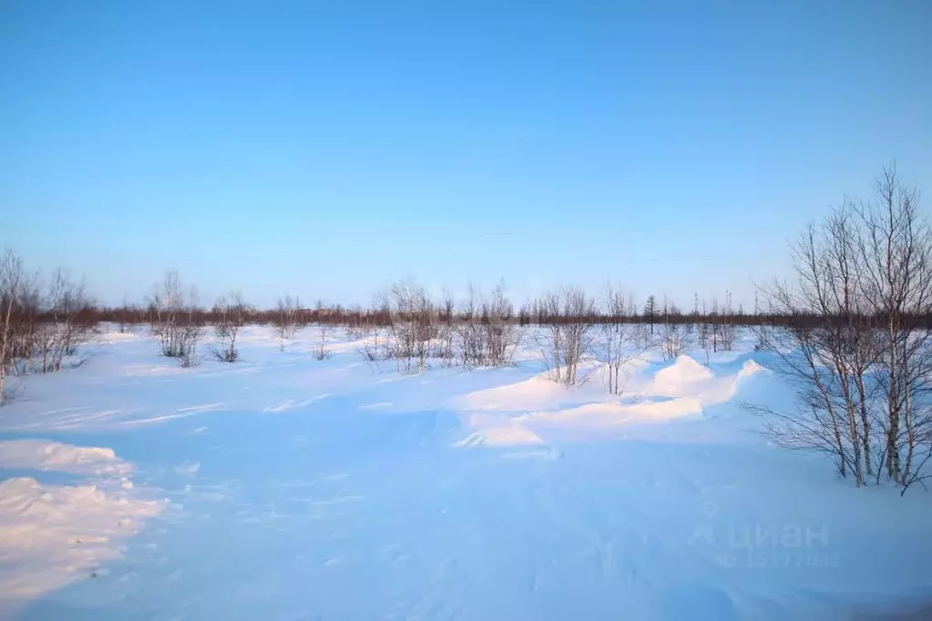 Участок в Ямало-Ненецкий АО, Новый Уренгой Сатурн ТСН,  (8.0 сот.) - Фото 1