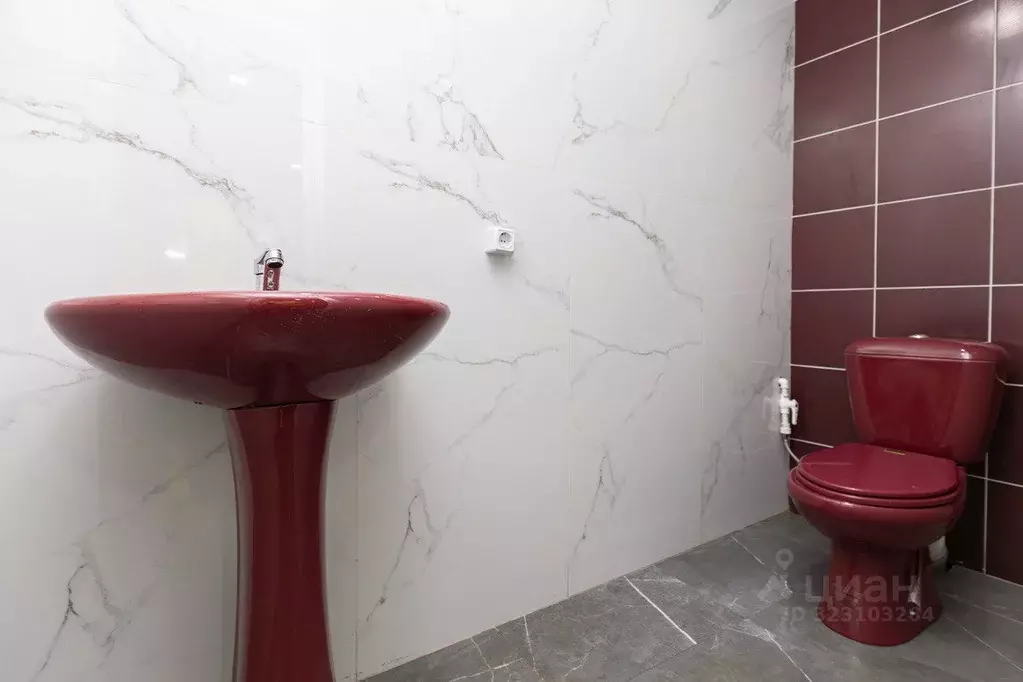 Помещение свободного назначения в Амурская область, Благовещенск ул. ... - Фото 2