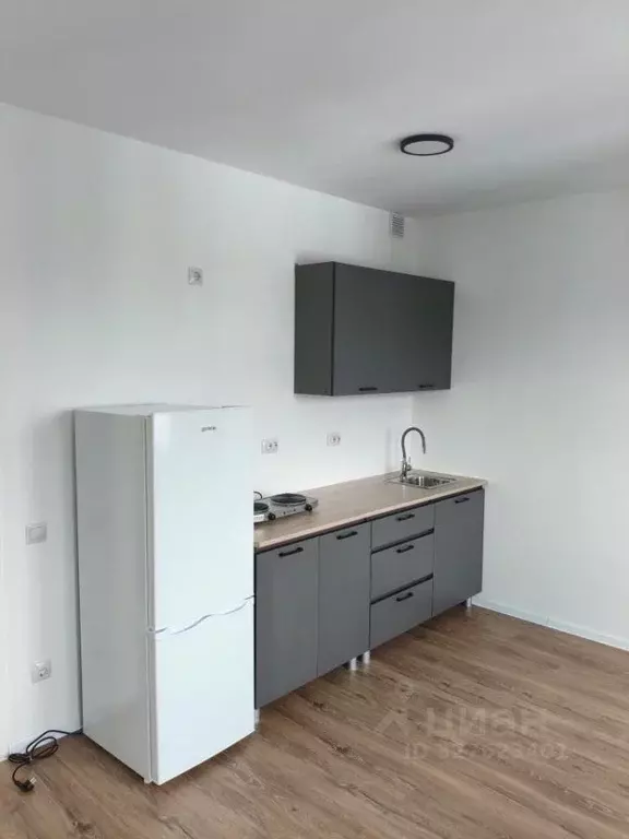 Студия Ленинградская область, Всеволожское городское поселение, пос. ... - Фото 1