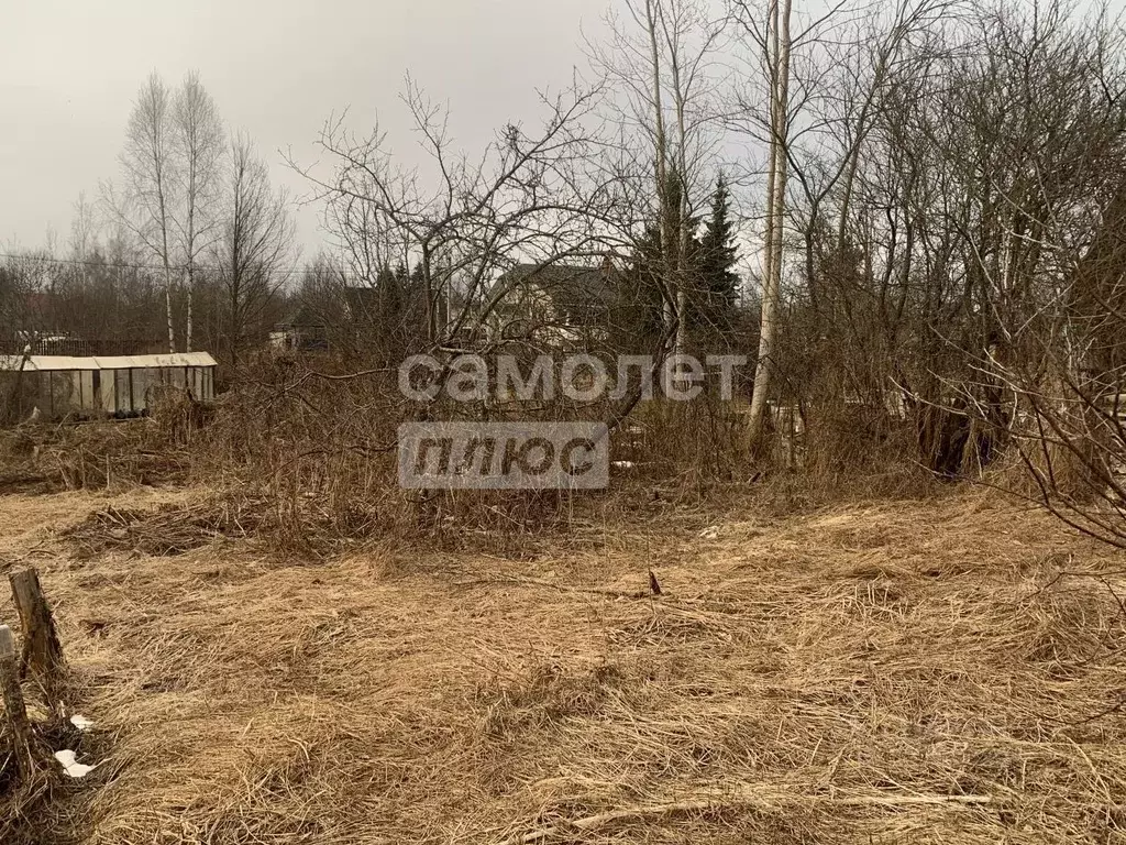 Участок в Ленинградская область, Тосно г. Тосненский район, Тосненское ... - Фото 2