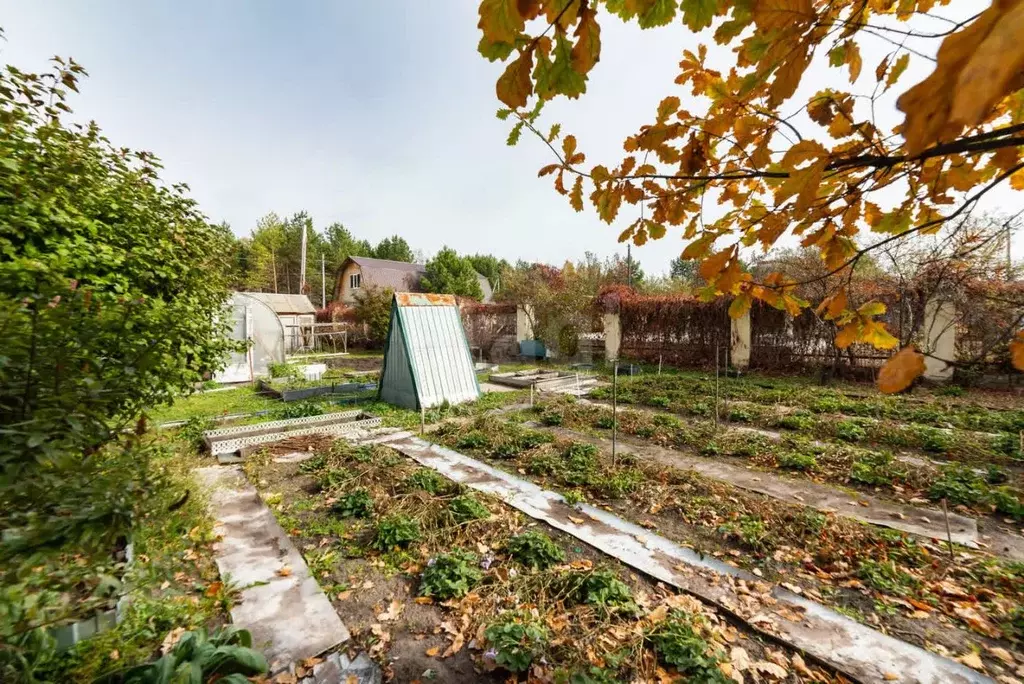 Дом в Курганская область, Кетовский муниципальный округ, Нива СТ 15 ... - Фото 1