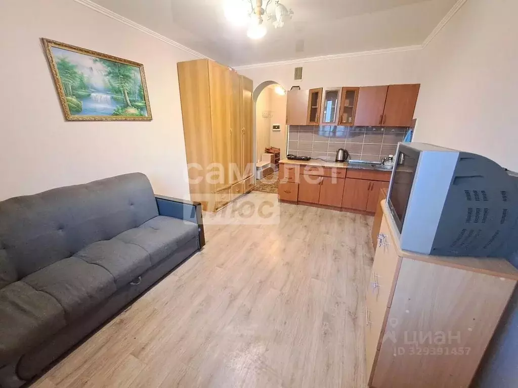 Студия Пензенская область, Пензенский район, Засечный сельсовет, с. ... - Фото 2