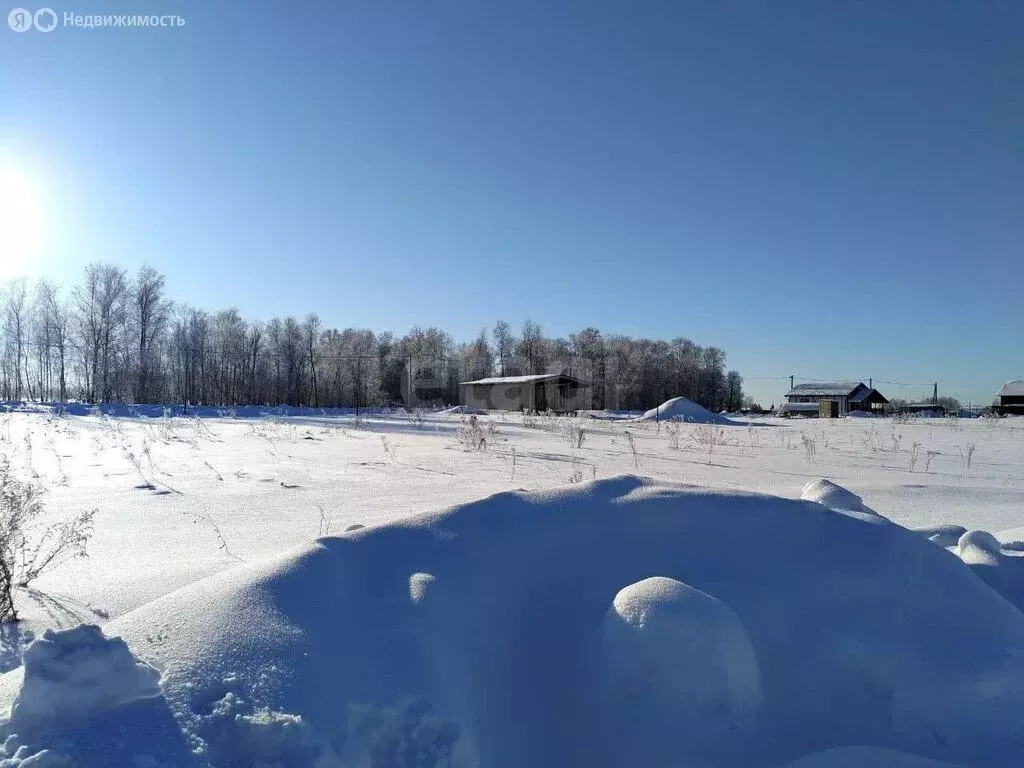 Участок в Барлакский сельсовет, территория ТСН Времена года, ... - Фото 1