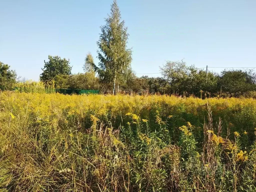 Участок в Брянская область, Брянский район, Снежское с/пос, с. ... - Фото 0