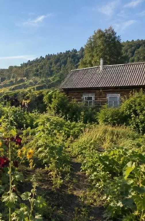 2-к кв. Алтай, Майминский район, с. Майма Алгаирская ул., 3 (23.0 м) - Фото 1