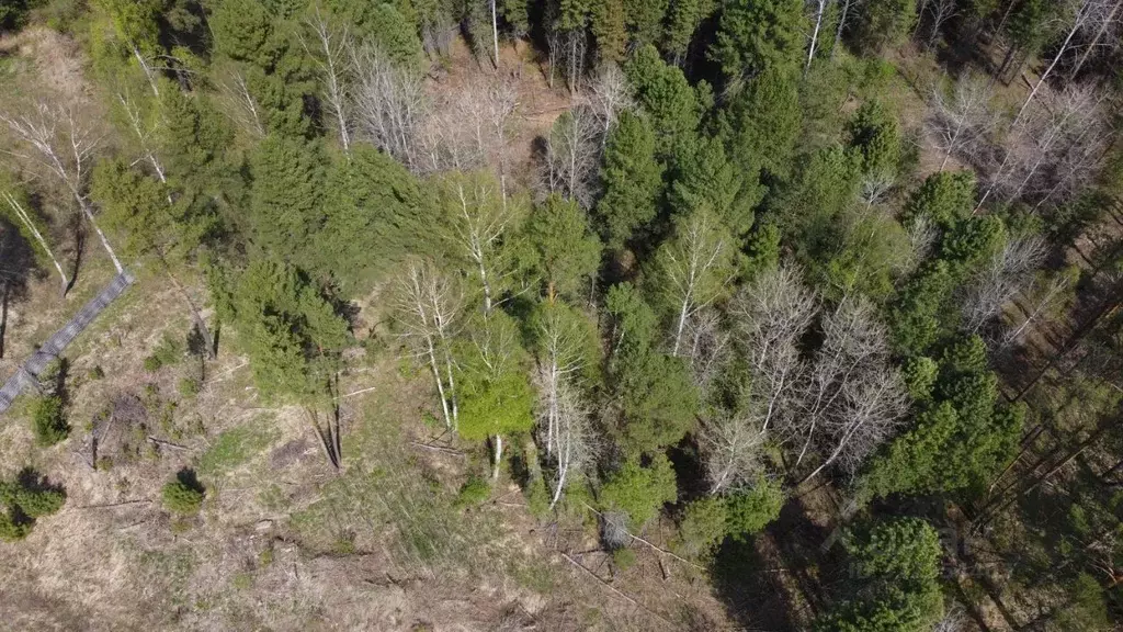 Участок в Томская область, Томский район, Богашевское с/пос, д. ... - Фото 2