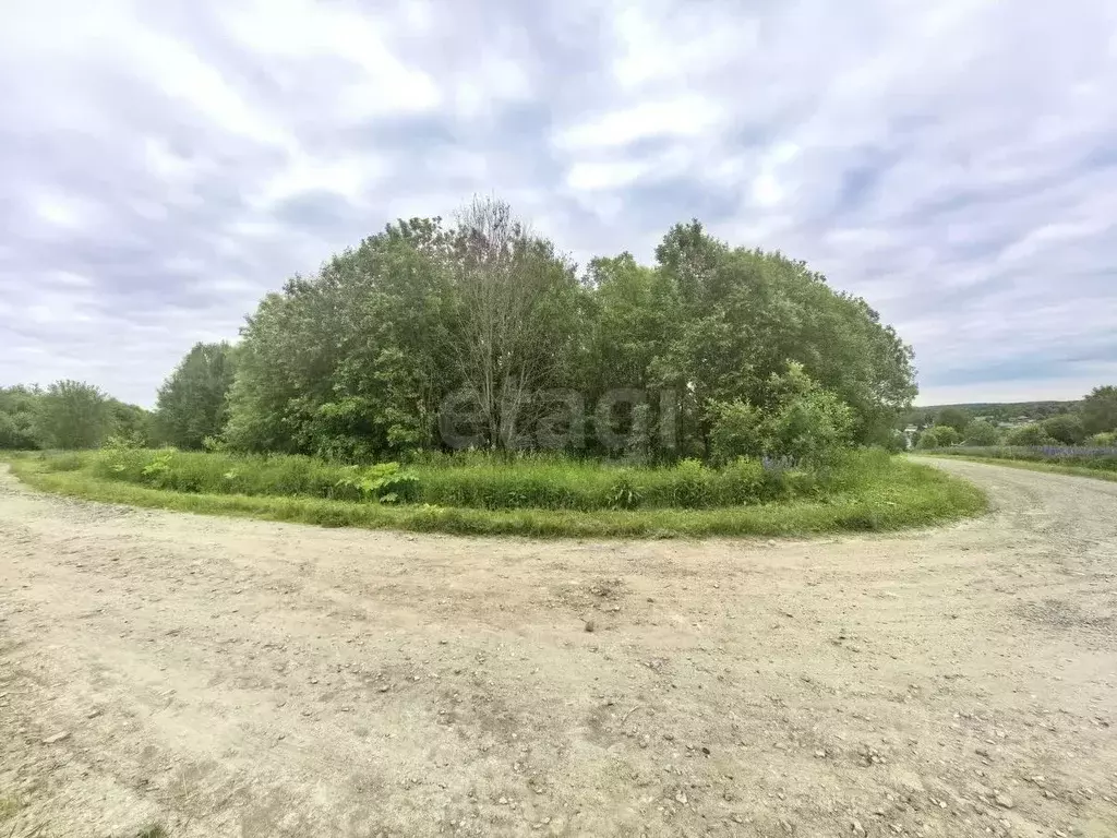 Участок в Пермский край, Березники муниципальный округ, с. Пыскор пер. ... - Фото 2