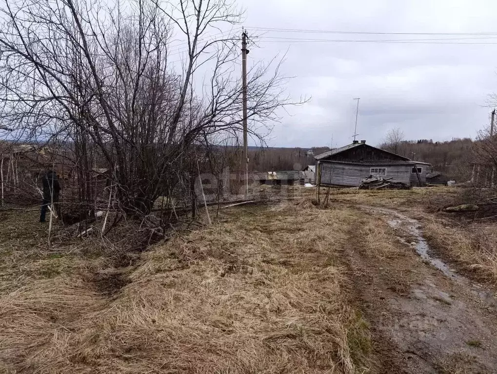 Участок в Коми, Сыктывдинский район, Ыб муниципальное образование, с. ... - Фото 2