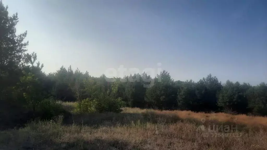 Участок в Саратовская область, Балашовский район, Большемеликское ... - Фото 2