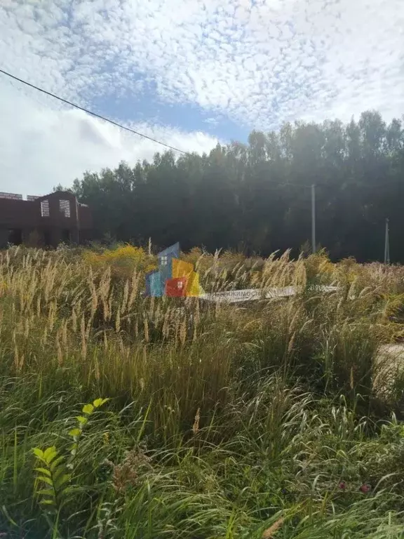 Участок в Тульская область, Тула городской округ, пос. Ильинка ул. ... - Фото 1