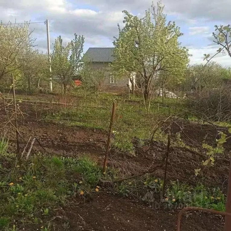 Участок в Белгородская область, Белгородский район, Северный городское ... - Фото 0