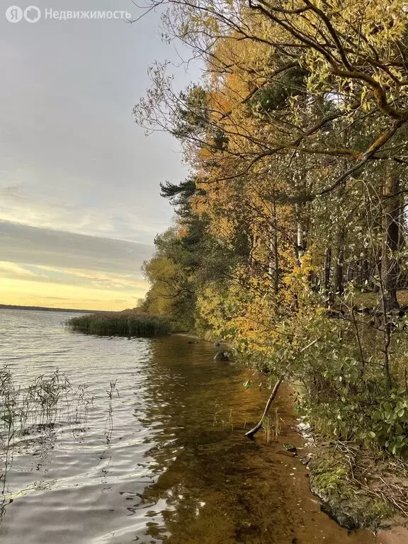 1-комнатная квартира: Конаково, улица Набережная Волги, 44 (35 м) - Фото 0