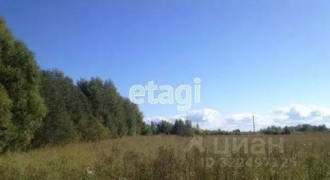 Участок в Вологодская область, Усть-Кубинский муниципальный округ, д. ... - Фото 1